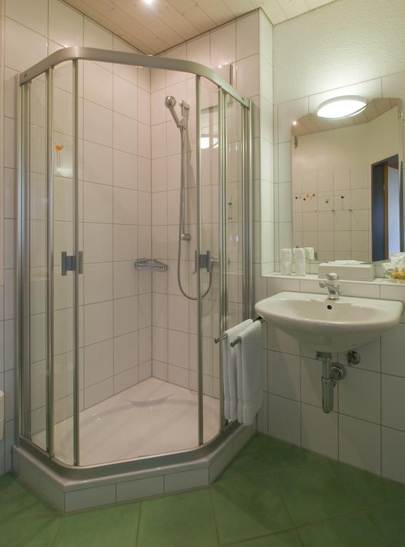 Seehotel Delphin Meisterschwanden Quarto foto